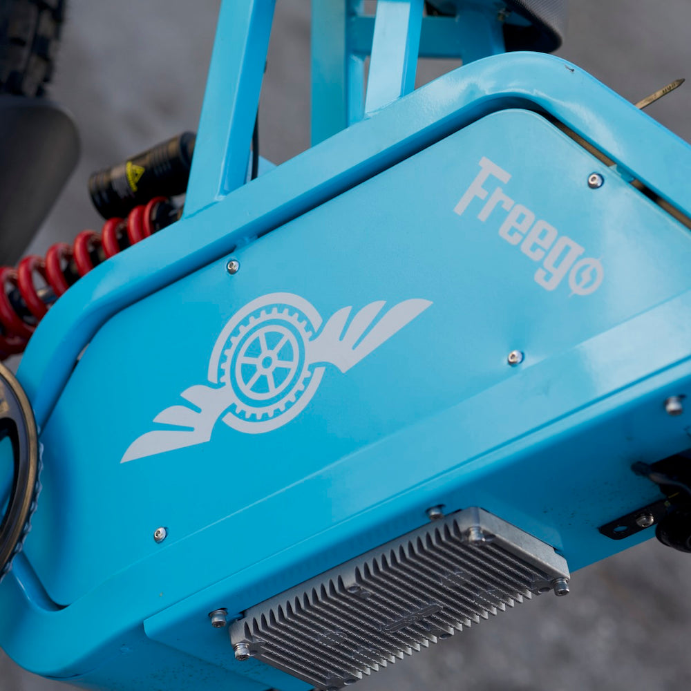 Freego X2 Pro All-Terrain Dirt eBike